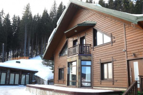 Shale Anemona Bukovel